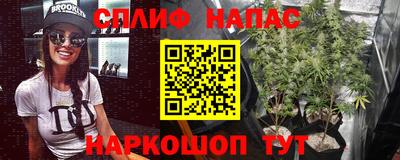 кокс Можга