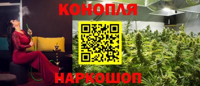 кокс Можга