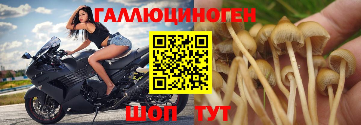 Галлюциногенные грибы Psilocybe  Вход с VPN  Прокопьевск  Галлюциногенные грибы MAGIC MUSHROOMS 